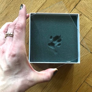 My Magic Footprint Dog Paw Paw Print Set Personalized image 7