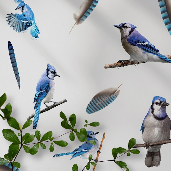 Feather Wall Decal Etsy