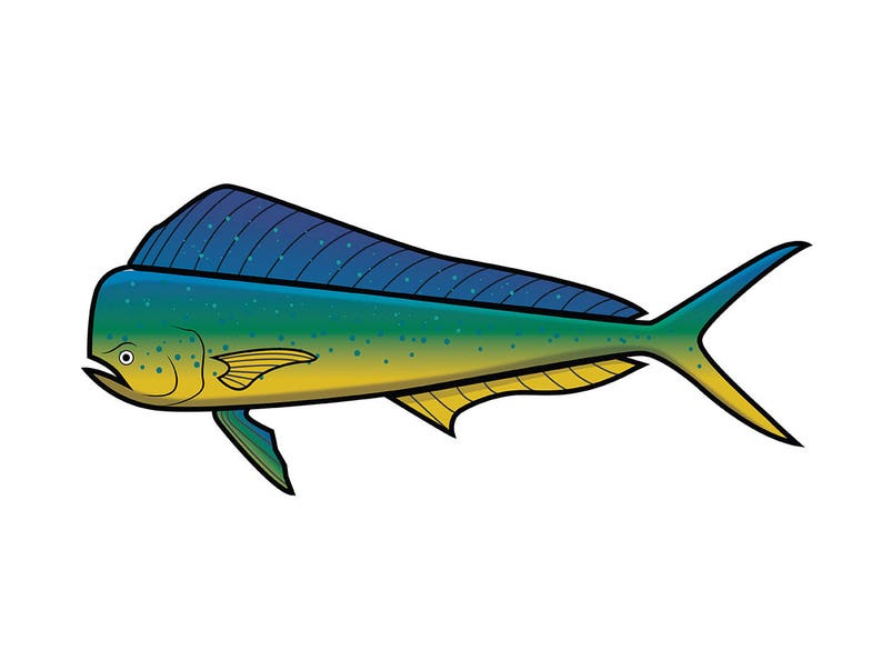 Mahi Mahi Wall Decal Etsy