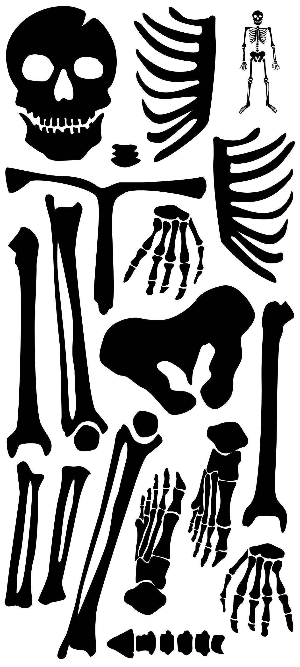 Halloween Life Size Skeleton Wall Decal Large Spooky Vinyl Etsy