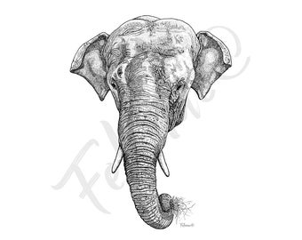 Elephant - Pencil (Photo print)