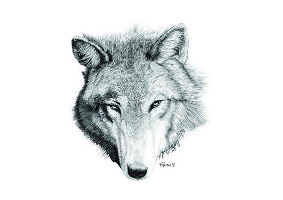 Wolf Bleistift Druck Etsy