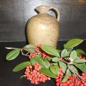 Glaserad stengodskanna/kanna, Antik stengodssamling, Stengodskruka, Köksinredning, Stengods från 1800-talet, Oljekanna, Vintagekruka