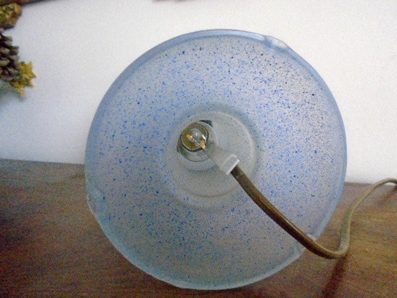 May include: A frosted glass lampshade with blue flecks, a light bulb socket, and a brown electrical cord.