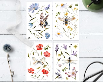 Watercolor Insect Butterfly Floral Postcard Set: Nature Art Prints