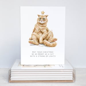 Katze Weihnachtskarte Boxed 8er Set | Lustige Katzen Weihnachtskarten | Illustrierte Weihnachtskarten für Katzenliebhaber | Feiertags-Grußkarten