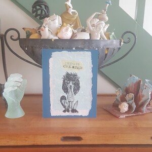 May include: A blue card with a white background and a black and white illustration of a Chinese Crested dog. The text "CHINESE CRESTED" is printed in yellow on the card.