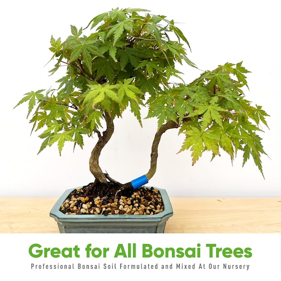 Tinyroots Bonsai Potting Soil for Bonsai Trees, 2.25 Quart