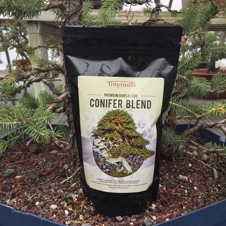 Bonsai Tree Soil Conifer Blend. Comes in 2 Quarts 4 Quarts Etsy