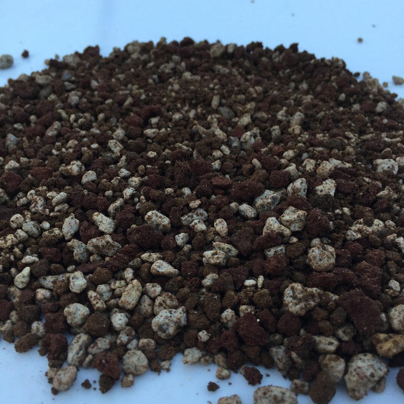 Bonsai Tree Soil Premium Blend. Comes in 2 Quarts 4 Quarts Etsy