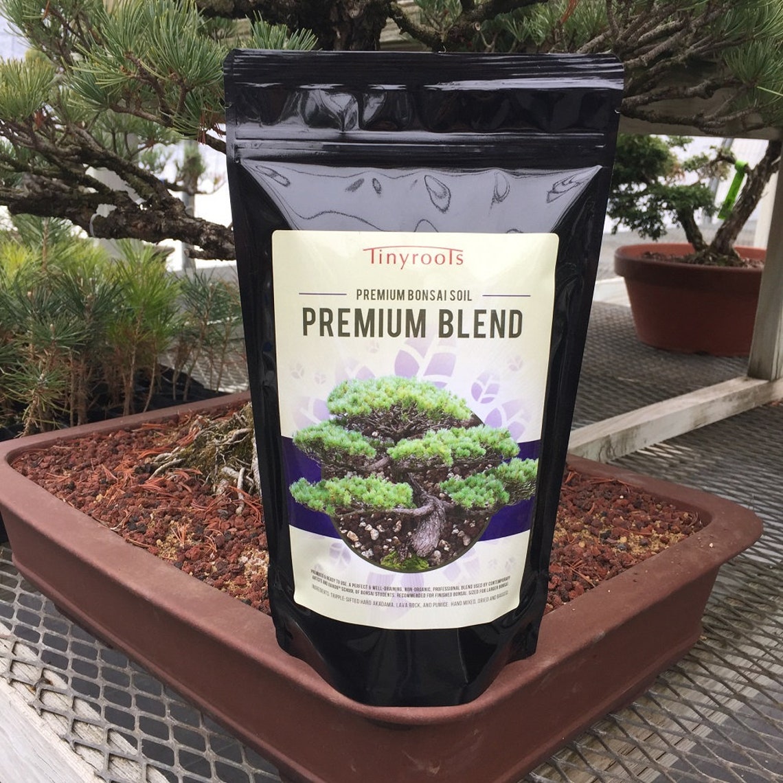 Bonsai Tree Soil Premium Blend. Comes in 2 Quarts 4 Quarts Etsy