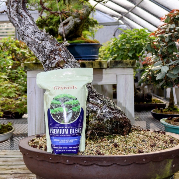 Buy Bonsai Tree Soil - Premium Blend. Comes in 2 Quarts, 4 Quarts, 2.5  Gallons, and 5 Gallon Resealable Bag!! Online in India - Etsy