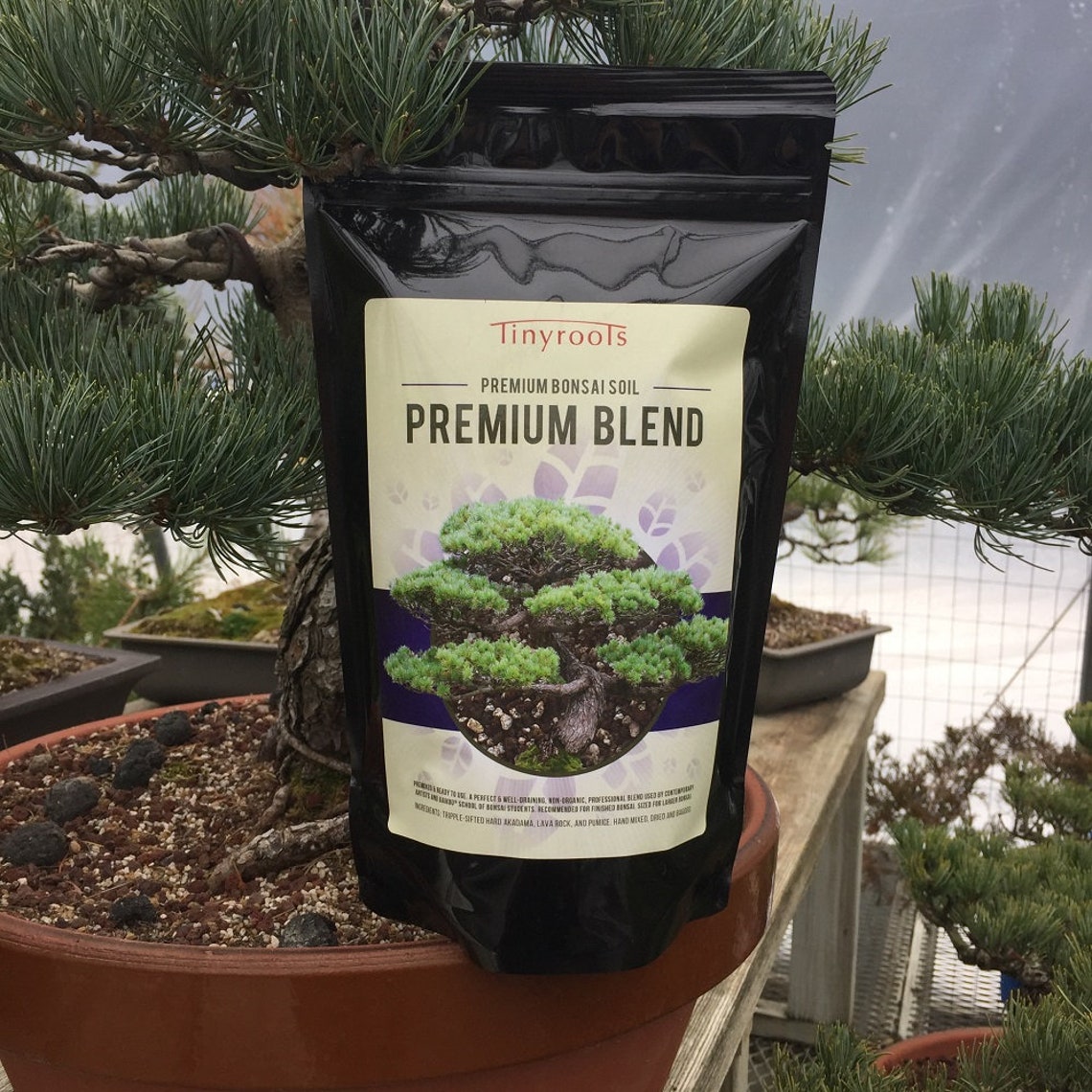 Bonsai Tree Soil Premium Blend. Comes in 2 Quarts 4 Quarts Etsy