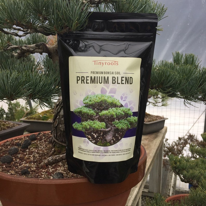 Bonsai Tree Soil Premium Blend. Comes in 2 Quarts 4 Quarts Etsy
