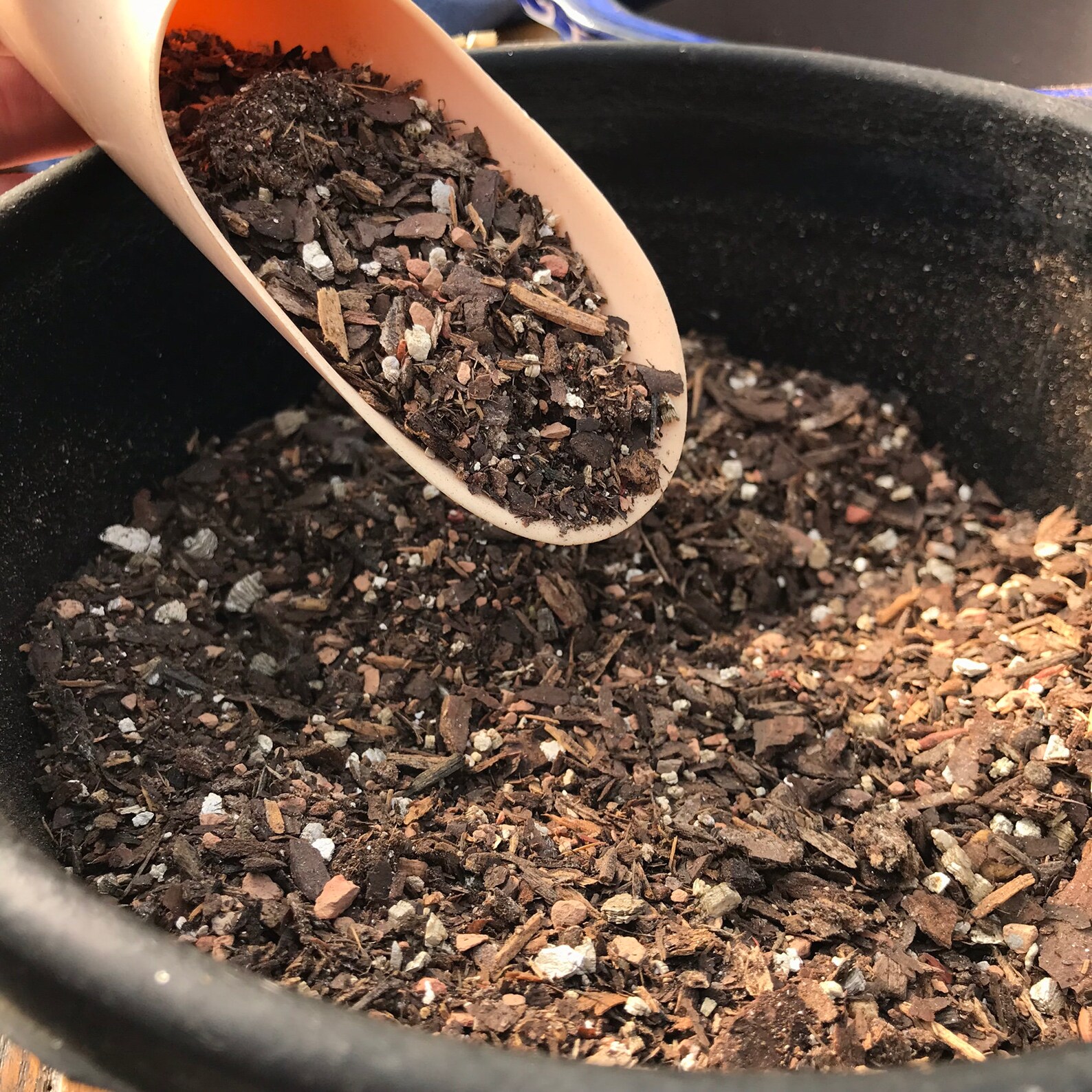 Bonsai Tree Soil All Purpose Blend. Comes in 2 Quarts 4 | Etsy