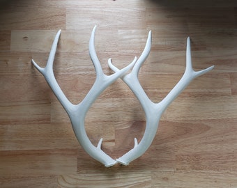 Light Weight Printed Deer Antlers