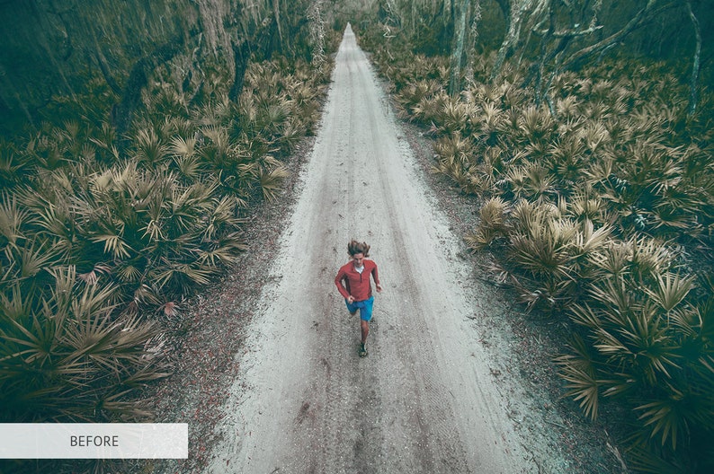 May include: A person in a red shirt and blue shorts runs down a dirt path lined with green foliage.