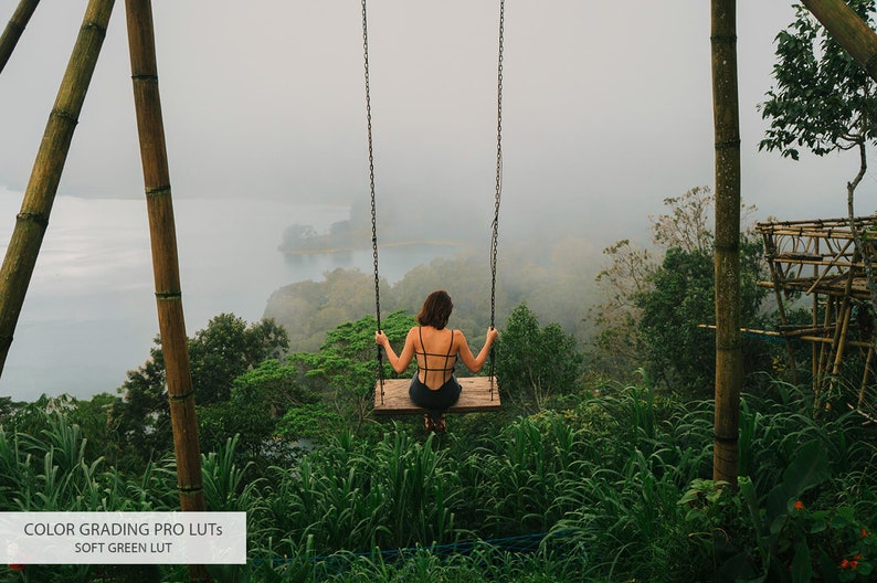 May include: A person sits on a wooden swing overlooking a misty valley. The swing is suspended from a bamboo structure. Lush green foliage surrounds the swing.