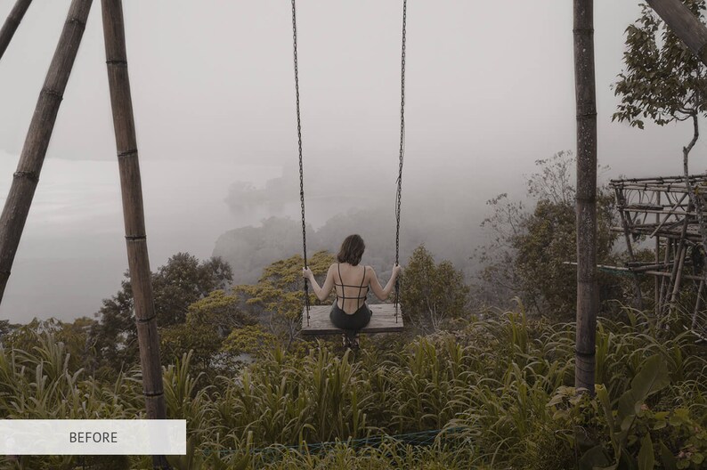May include: A person sits on a wooden swing overlooking a foggy landscape. The swing is suspended from a wooden frame and is surrounded by lush greenery.