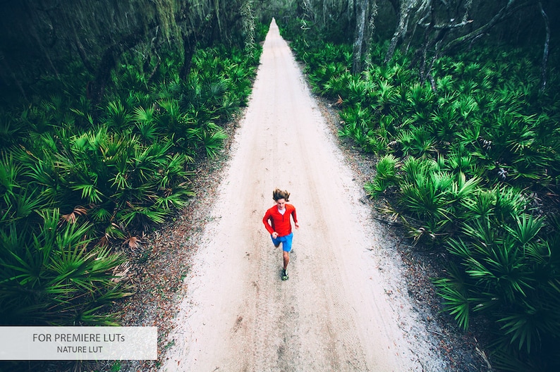 May include: A person in a red shirt and blue shorts runs down a dirt path lined with green foliage.