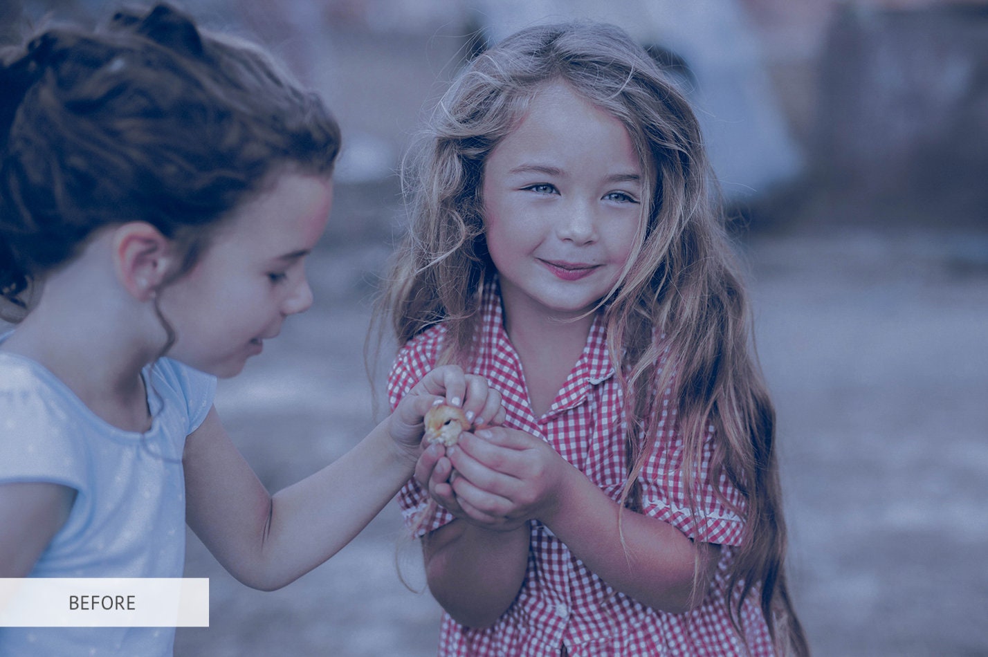 Lightroom Presets, Presets Lightroom,lightroom Presets Desktop, Matte