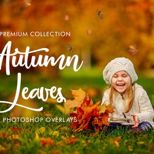 Leaves Overlays/Photoshop Overlays/Photo Overlays/Photography Overlays /Digital Overlay/Falling Leaves/Autumn Overlays/Photoshop Overlay