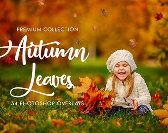 Autumn Leaves Photoshop Overlays: 34 Falling Leaves (PNG)