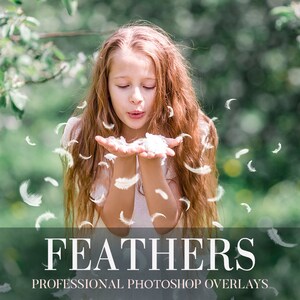 Feathers Photoshop Overlays,Photo Overlays,Png Effect,Photography Overlays,Digital Overlays, Feathers Effect,Children Photography,Overlays