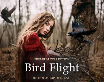Bird Flight Photoshop Overlays: PNG Photo Effects (Digital Download)