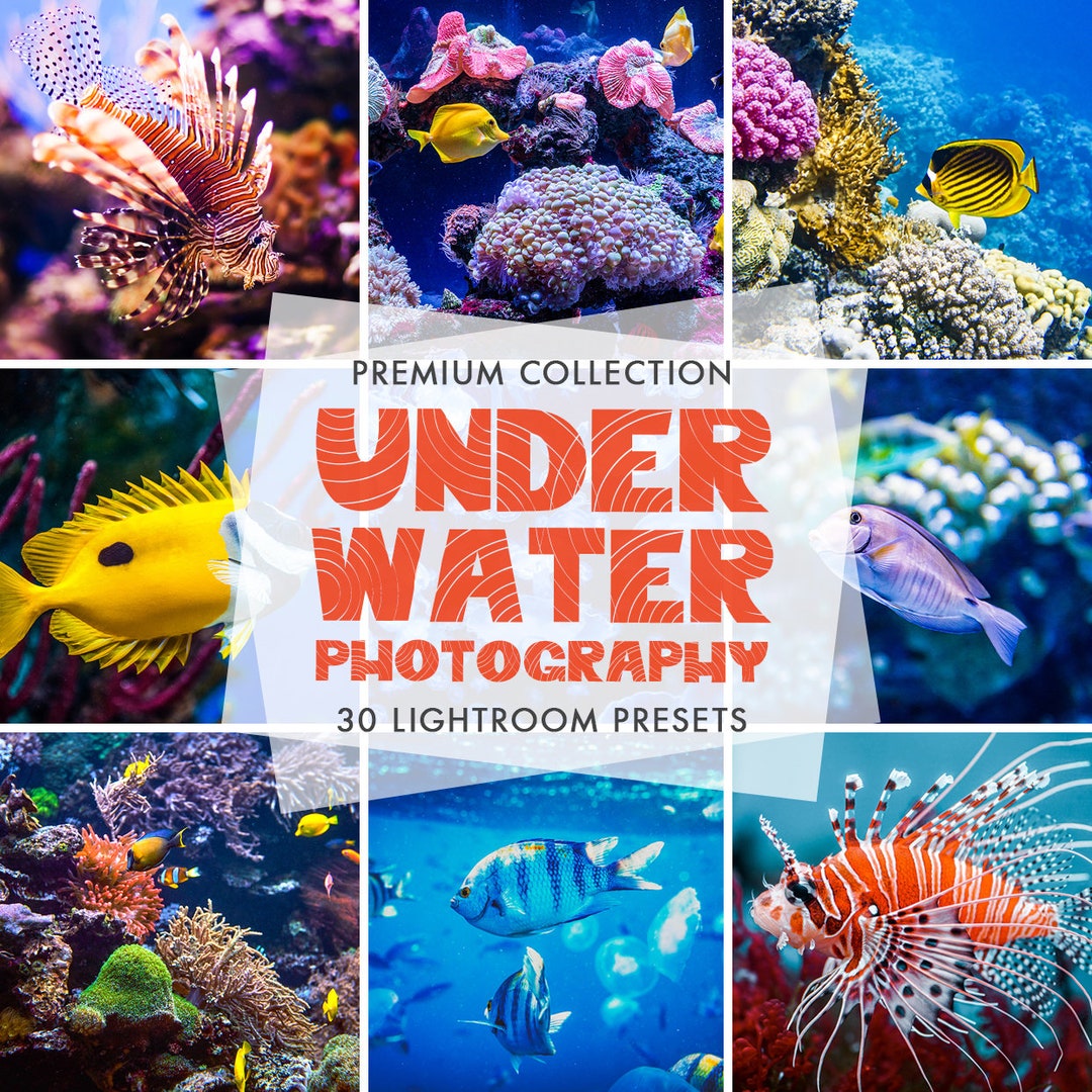 Lightroom Presets for Underwater Photography, Underwater Presets