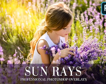Sun Rays Photoshop Overlays: Outdoor Photography PNG Effects