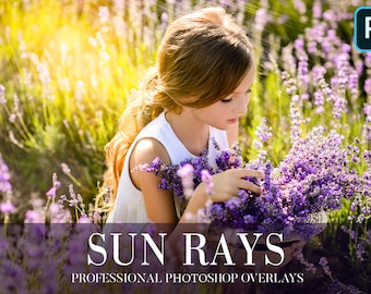 Sun Rays Photoshop Overlays,Photo Overlays,Png Effect,Outdoor Photography Overlays,Digital Overlay,Sun Effect Overlays,Light Rays Overlays