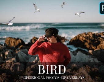 Bird Photo Overlays: Beach Photography PNG Effects (Digital Download)