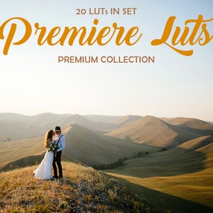 LUT Premiere Pro voor videobewerking, premiere pro luts, luts voor premiere pro, premiere luts, adobe premiere luts, lut for premiere, adobe premiere