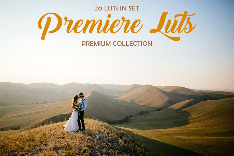 May include: A couple in wedding attire stand on a grassy hilltop overlooking rolling green hills. The sky is a light blue with a soft, golden glow. The text "Premiere Luts" is displayed in a large, orange font above the couple. The text "20 LUTS IN SET" is displayed in a smaller, orange font above the larger text. The text "PREMIUM COLLECTION" is displayed in a smaller, orange font below the larger text.