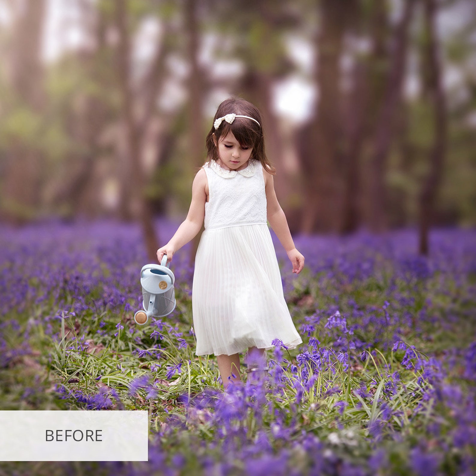 Shimmer Actions Professional Actions Etsy