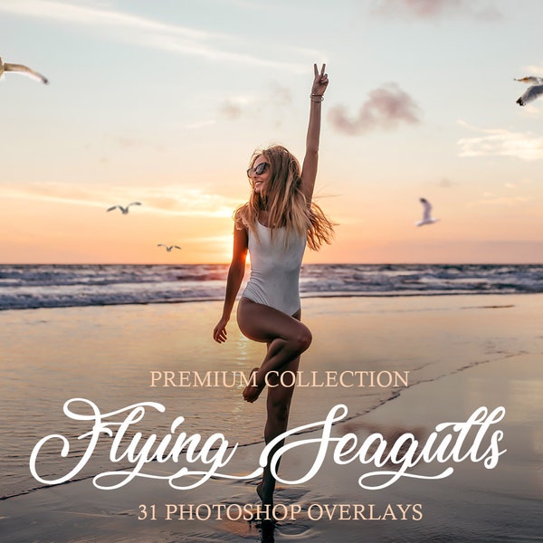 Sovrapposizioni di gabbiani in volo per Photoshop: 31 effetti fotografici PNG (download digitale)