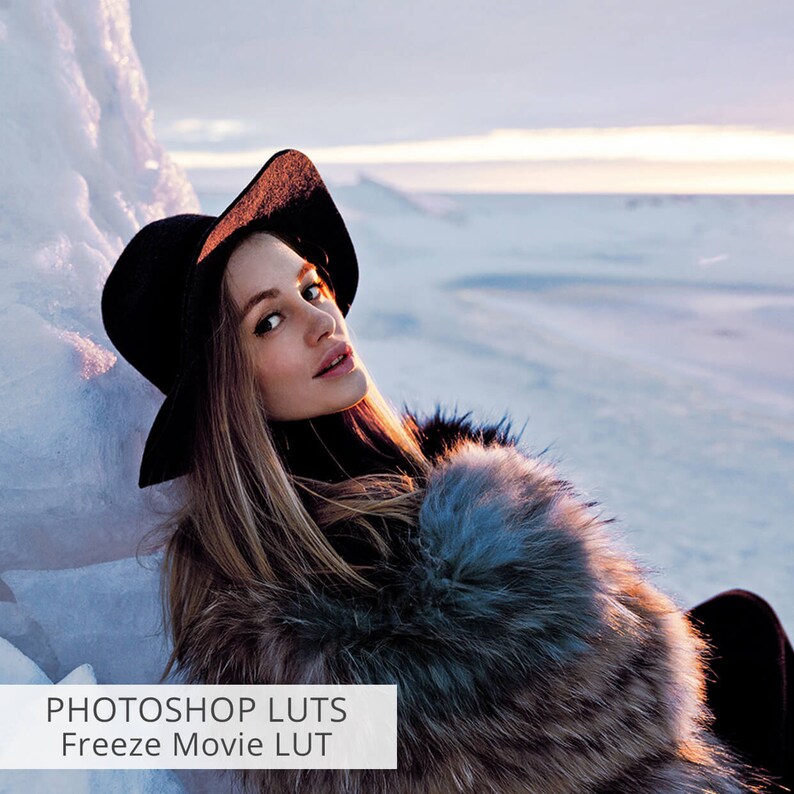 May include: A woman wearing a black hat and a fur coat poses in a snowy landscape. The image has the text "PHOTOSHOP LUTS Freeze Movie LUT" at the bottom.