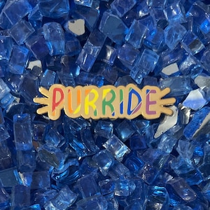 May include: A gold-toned metal enamel pin featuring the word PURRIDE in bold, multicoloured letters. The pin has a stylised shape with small whiskers on both ends, set against a background of numerous small, translucent, deep blue glass pieces.