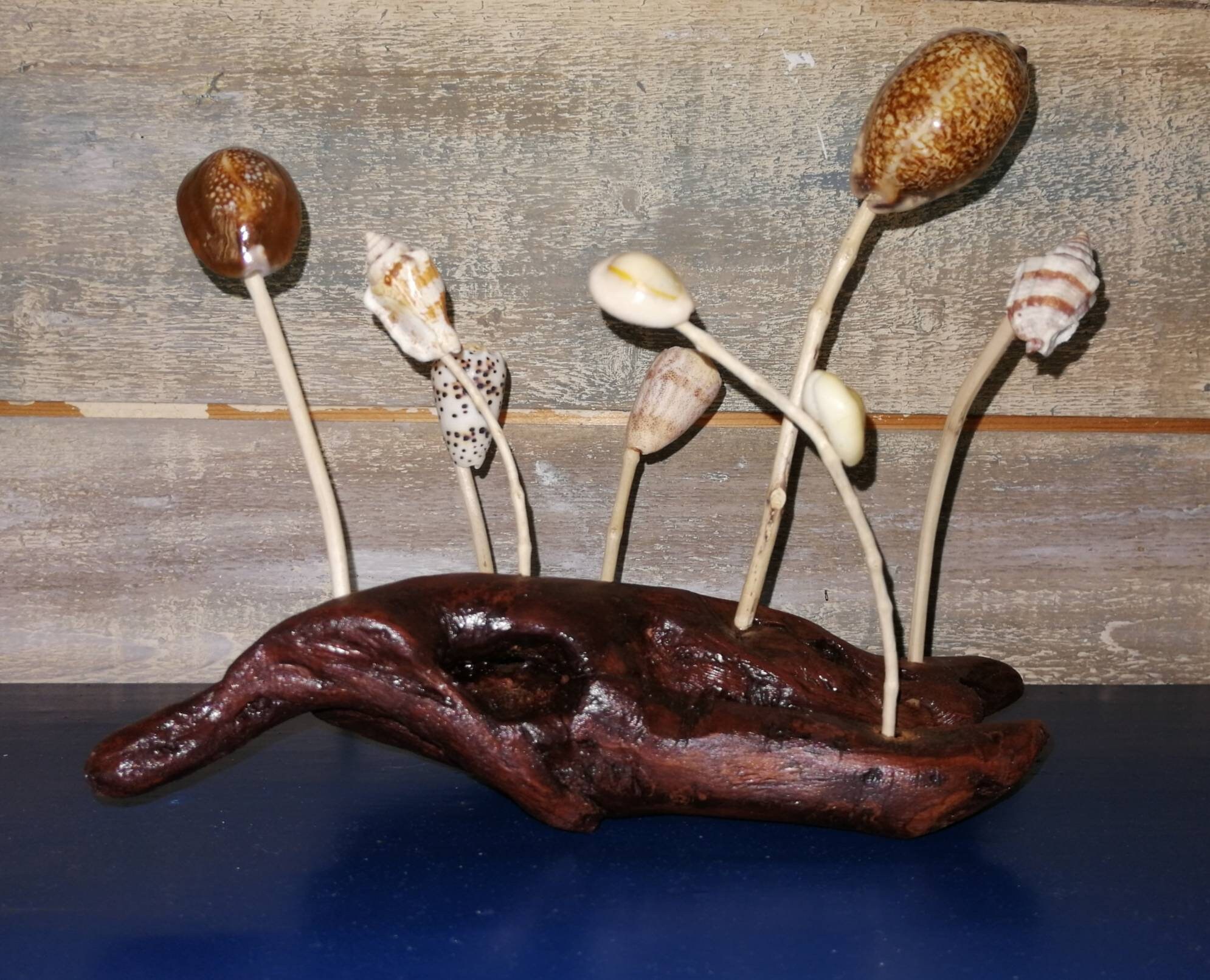 Décoration Oceane en Bois Flotté et Coquillages Polynésiens