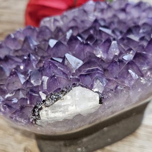 Amethyst Cluster Freeform Cupcake !! Natural !! Gemmy Deep Purple With Perfect Points !