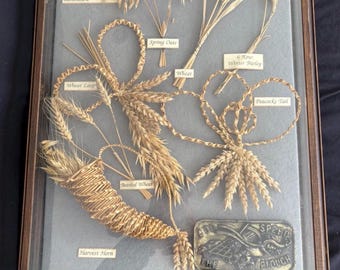 Vitrina vintage enmarcada con forma de muñeca de maíz, artesanía popular agrícola de trigo y cebada.