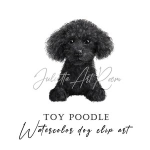 Toy Poodle watercolor clip art, Mini poodle png, Poodle Png Sublimation Design, Poodle portrait, DIY portrait, Dog Illustration Silhouette