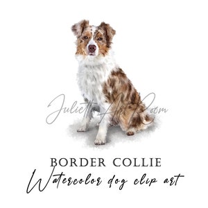 Aquarell Border Collie Clipart, Border Collie png, Australischer Schäferhund Clipart, Aussie Clipart png, Hundeliebhaber Geschenk, Hunde mama