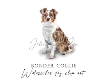 Watercolor Border Collie clipart, Border collie png, Australian shepherd clipart, Aussie clipart png, Dog clipart, Dog lover gift, Dog mom
