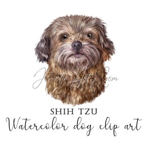 Shih Tzu aquarelle clip art, Shih tzu dogs png, Dog clipart, DIY portrait, hand-drawn art, Sublimation Design, Shih Tzu mom, dog face