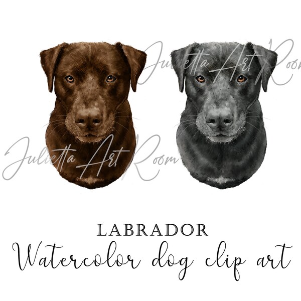Black and chocolate labrador watercolor png clipart with transparent background - instant download digital art - personal & commercial use