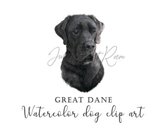 Great Dane watercolor hand-drawn clipart, Great Dane png, DIY portrait, dog clipart, Sublimation design, card's design, pet memorial