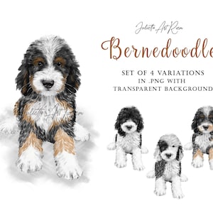Bernedoodle Aquarell Hund Clipart, Labradoodle png Illustration, Pudel Mix Clipart, DIY Porträt, Pudel Porträt, Goldendoodle, Hund Mama