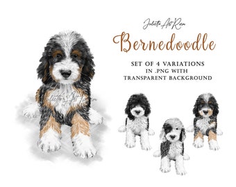Bernedoodle Watercolor Clipart: Poodle Mix PNG Illustration (Digital Download)